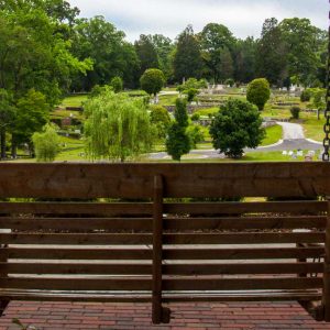 "Swing with a View" by Alice Hawks